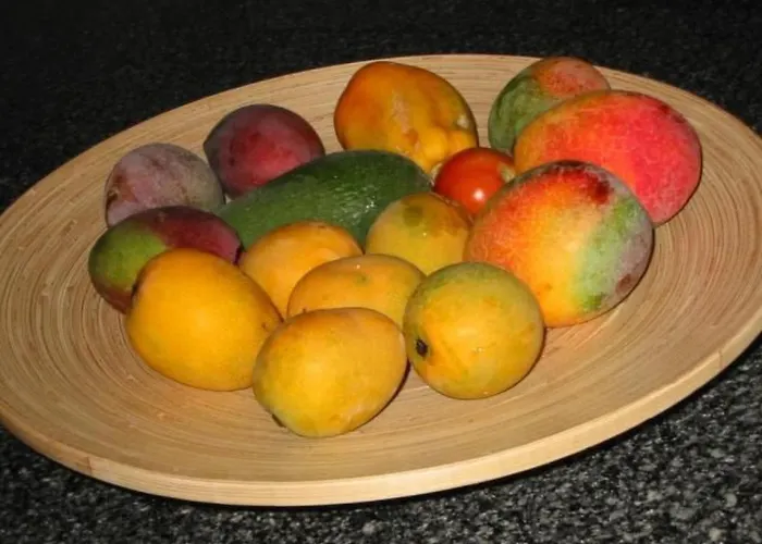 Parlour-uvi By Interhome *